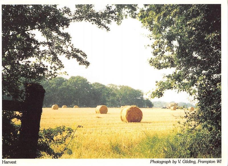 BR76654 harvest uk