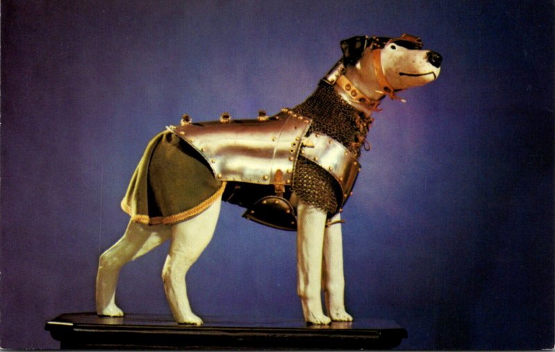 Dog In Armor Worn During Wild Boar Hunt John Woodman Higgins Armory Museum Wo...