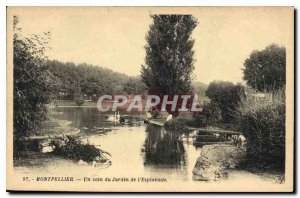 Old Postcard Montpellier A corner of Esplanade Garden