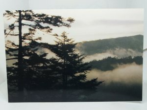 Scenery in Shen Nong Jia (forest Region)Hubei China Vintage Postcard 1994