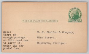 Muskegon MI E H Sheldon & Company Furniture Nims Street Advertising Postcard M35