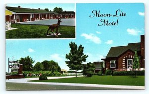 VERSAILLES, IN Indiana ~ MOON LITE MOTEL c1950s Roadside Ripley County Postcard