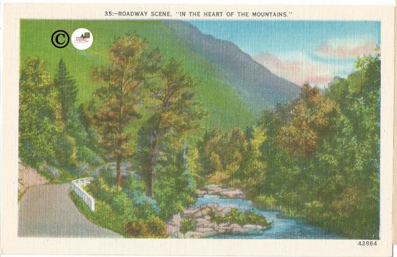 Roadway Scene In The Heart of The Mountain Vintage Postcard