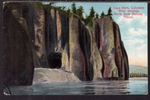 Cape Horn,Collumbia River Showing NorthBank Railway Tunnel,WA BIN