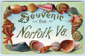 SOUVENIR FROM NORFOLK VIRGINIA*EMBOSSED SEA SHELL BORDER*ANTIQUE POSTCARD