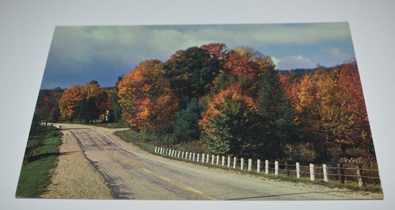 M. E. Hopkins General Store Erinsville Ontario Canada Postcard Colourpicture