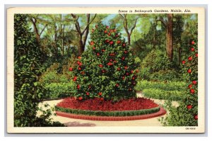 Scene In Bellingrath Gardens Mobile Alabama AL UNP Linen Postcard Y14