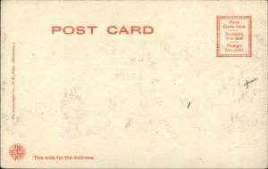 Allentown PA The County Fair 1905 Rotograph Postcard