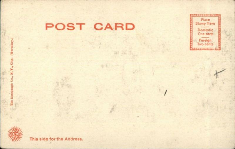 Allentown PA The County Fair 1905 Rotograph Postcard