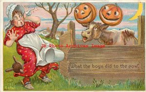 282447-Halloween, Julius Bien No 9804, Lady Startled by Cow with JOLs on Horns