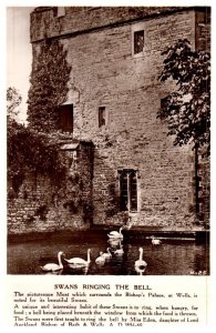 Swans In Moat Surrounding The Bishops Palace Wells UK Black And White Postcard