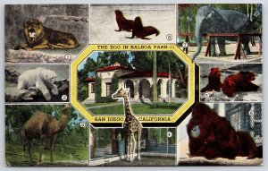 Vintage Postcard Wildlife Animals The Zoo in Balboa Park San Diego California CA