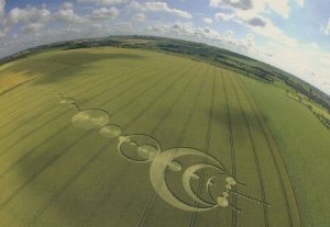 Windmill Hill Wiltshire Crop Circle Postcard