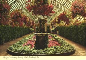 Phipps Conservatory Schenley Park Pittsburgh PA Schizanthus Flowers Postcard D26