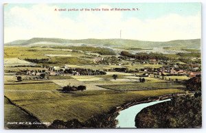 A Small Portion Of The Fertile Flats Of Scholarie New York NY Mountain Postcard