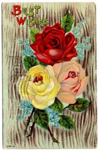 Best Wishes Greeting Postcard, Three Coloured Roses,