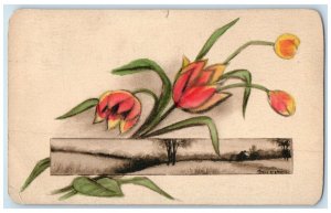 1910 Flowers Hand Drawn Painted Mary Connell Chicago Illinois IL Postcard