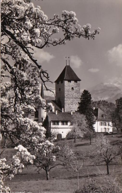 Switzerland Schloss Spiez Am Thunersee Photo