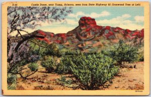 Yuma Arizona AZ, 1950 Castle Dome, Mountain, Ironwood Tree, Desert, Postcard