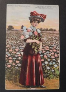 Mint USA Advertisement Postcard H W Buckbee Seed and Plant Guide 1910 Illinois