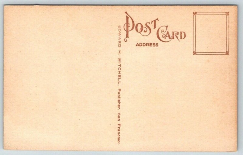 Vintage Postcard - Bull Elk  Mt. Rainier  Washington