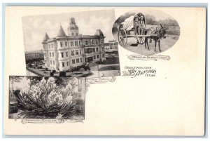 Greetings From San Antonio Texas TX, Multiview Unposted Antique Postcard