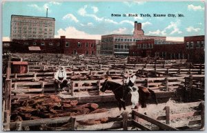 Scene In Stockyards Kansas City Missouri MO Dairy Farm Cattle Raising Postcard