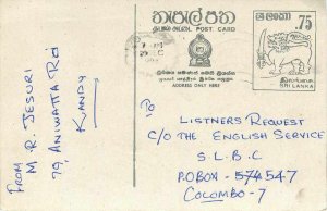 Entier Postal Stationery Postal Sri Lanka Ceylon Lion