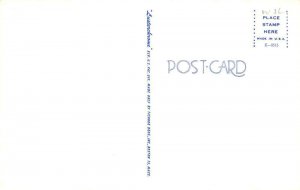 Cape Cod Massachusetts Greetings Beach Scene Clown Postcard AA87332