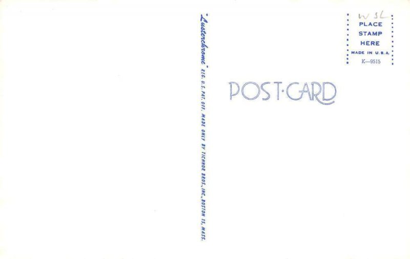 Cape Cod Massachusetts Greetings Beach Scene Clown Postcard AA87332