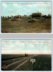 2 Postcards IPSWICH, South Dakota SD ~ HOMEWOOD FARM Scenes Crops c1910s