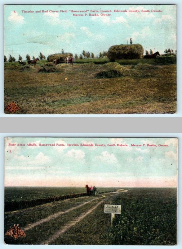 2 Postcards IPSWICH, South Dakota SD ~ HOMEWOOD FARM Scenes Crops c1910s