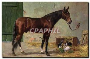 Old Postcard Equestrian Riding Horse Rabbits