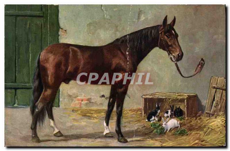 Old Postcard Equestrian Riding Horse Rabbits