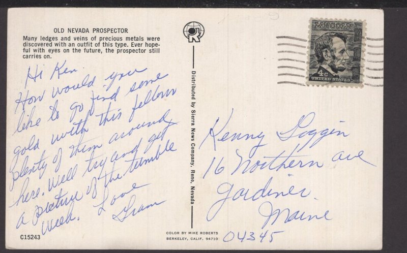 Old Nevada Prospector his Burro Donkey Mule pm - Chrome