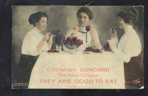 LITTLE SILVER NEW JERSEY CONCORD GRAPE VINES VINTAGE ADVERTISING POSTCARD 1910