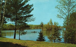 Postcard Good Fishing Among The Birches And Pines G. R. Brown Co. Pub.