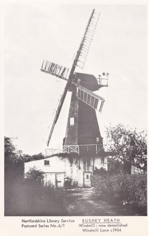 Bushey Heath Windmill Hertfordshire Limited RPC Postcard