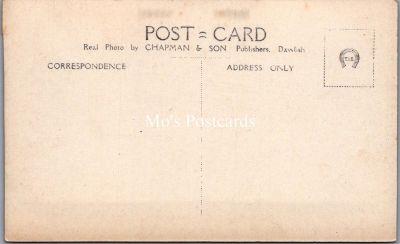 Devon Postcard - Branscombe Village, East Devon  SW17950