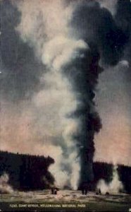 Giant Geyser - Yellowstone National Park, Wyoming WY  