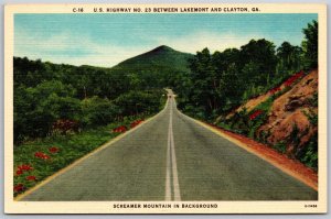 Vtg Screamer Mountain US Highway 23 Lakemont & Clayton Georgia GA 1930s Postcard