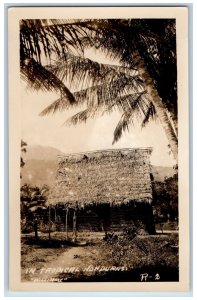 Central America Postcard In Tropical Nipa House Honduras c1910 RPPC Photo