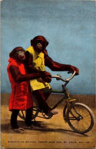 Monkeys on Bicycle Forest Park Zoo St. Louis MO Postcard PC37