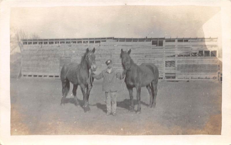 E53/ Occupational Real Photo RPPC Postcard c1910 Horses Breeding Farmer 3