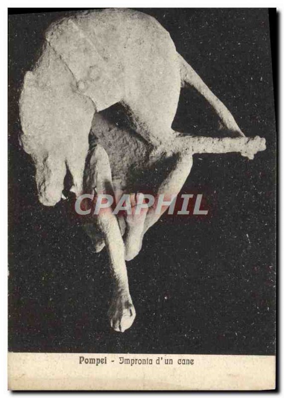 Old Postcard Pompei Impronta d & # 39un Cane dog
