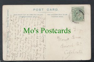 Genealogy Postcard - Day? - Mount House, Harwick Road, Colchester, Essex RF6560