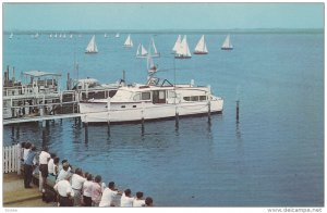 WILWOOD CREST, New Jersey, 1940-1960's; Sailboat Races At Greater Wildwood Ya...
