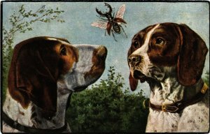 PC CPA DOGS, TWO DOGS LOOKING AT HORNED BEETLE, VINTAGE POSTCARD (b3552)