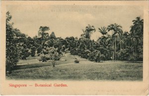 PC SINGAPORE, BOTANICAL GARDEN, Vintage Postcard (b31246)