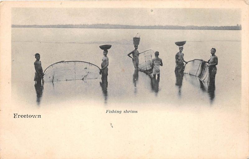 B84971 freetown fishing shrims types folklore sierra leone